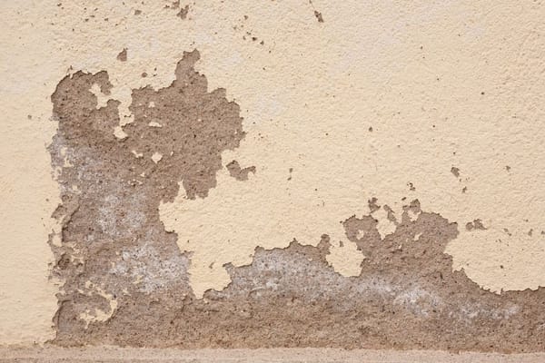 Feuchtigkeit und Schimmel im Keller: Ursachen finden und beheben